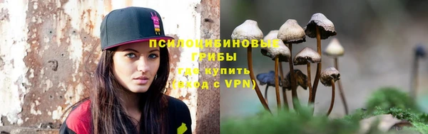 гашик Алексеевка