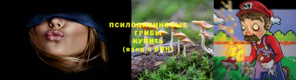 прущий лед Арсеньев