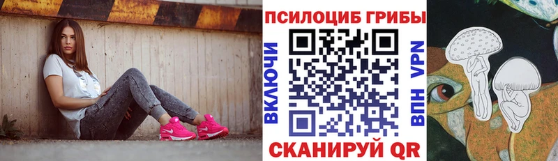 где продают   Струнино  Галлюциногенные грибы мицелий 